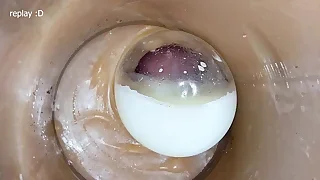 Porn Twink Free 0