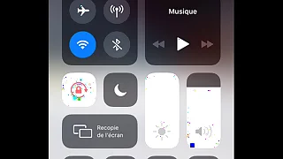 Twerk de puta